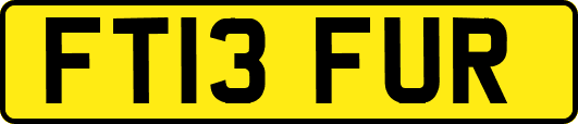 FT13FUR