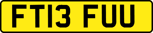 FT13FUU