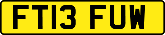FT13FUW