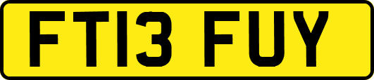 FT13FUY