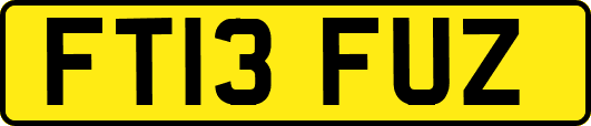 FT13FUZ