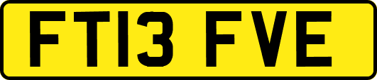 FT13FVE