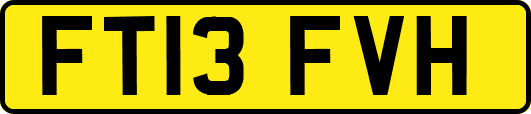 FT13FVH