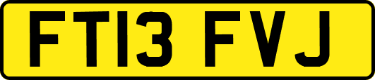 FT13FVJ