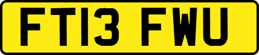 FT13FWU