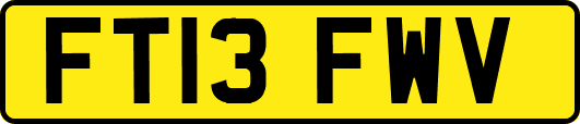 FT13FWV