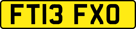 FT13FXO
