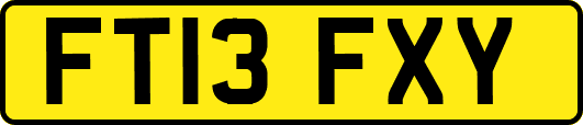 FT13FXY