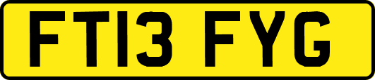 FT13FYG