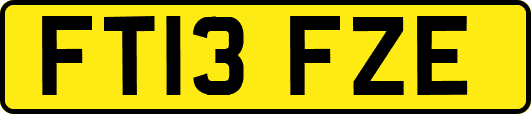 FT13FZE