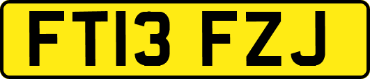 FT13FZJ
