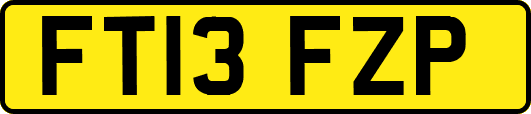 FT13FZP