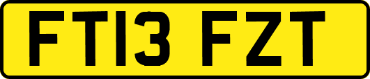 FT13FZT