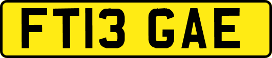 FT13GAE