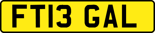 FT13GAL
