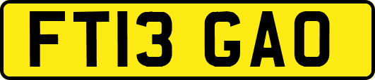 FT13GAO