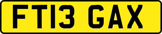 FT13GAX