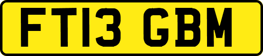 FT13GBM