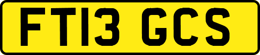 FT13GCS