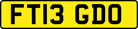 FT13GDO