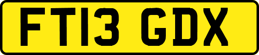 FT13GDX