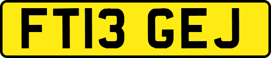 FT13GEJ