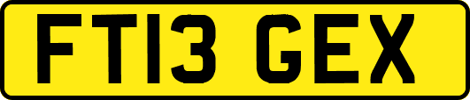 FT13GEX