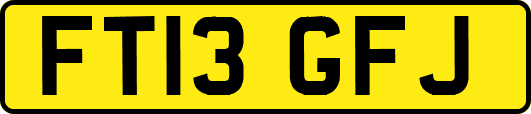 FT13GFJ