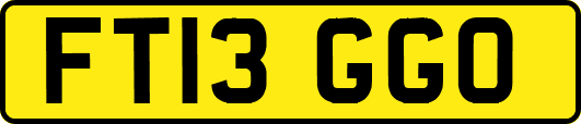 FT13GGO