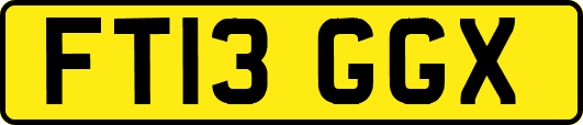 FT13GGX