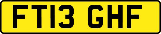 FT13GHF