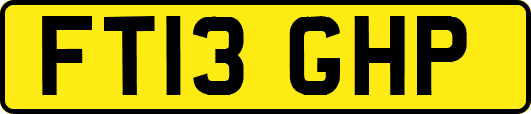 FT13GHP