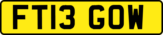 FT13GOW