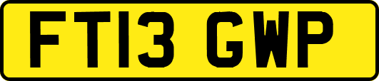 FT13GWP