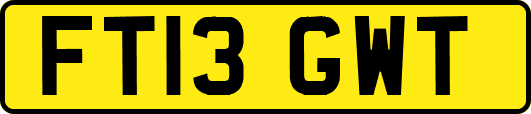 FT13GWT