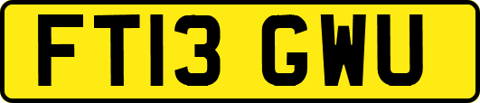 FT13GWU