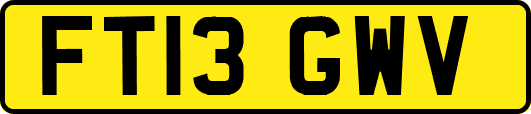 FT13GWV
