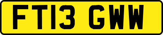 FT13GWW