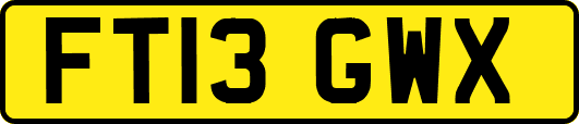 FT13GWX