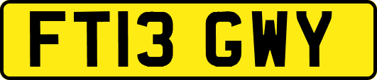 FT13GWY