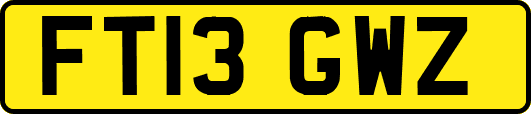FT13GWZ