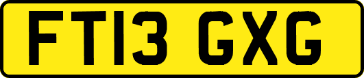FT13GXG