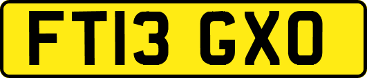 FT13GXO