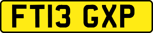 FT13GXP