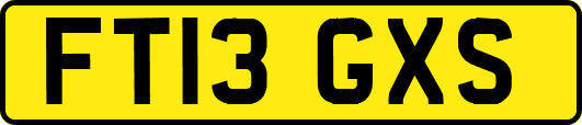 FT13GXS