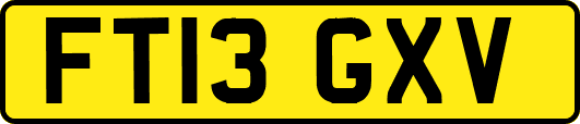 FT13GXV