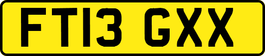 FT13GXX