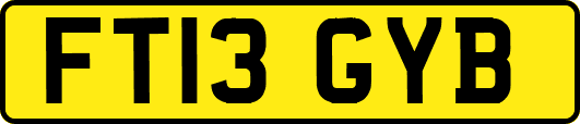 FT13GYB