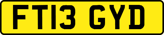 FT13GYD