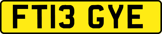 FT13GYE